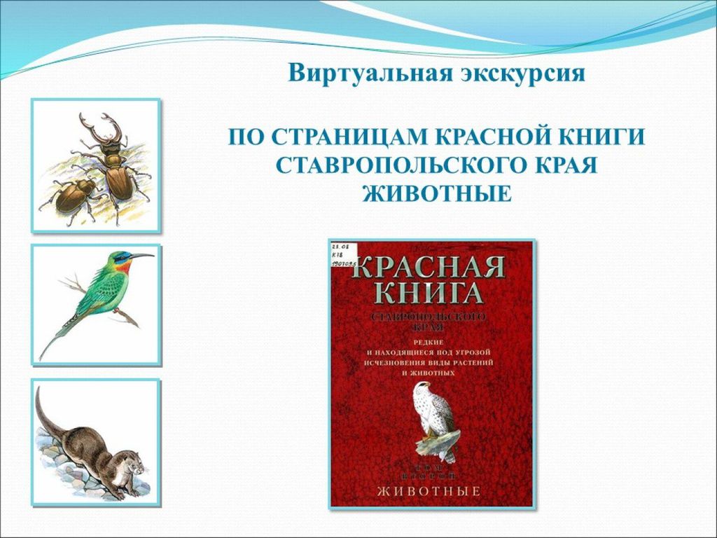 МБУДО ЦДТЭиТ им. Р.Р. Лейцингера,Ставропольский край, г. Пятигорск